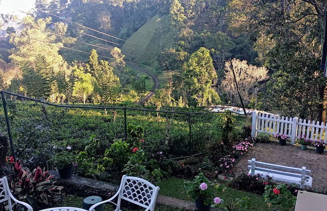 Windsor Forest Bungalow - Photo 1