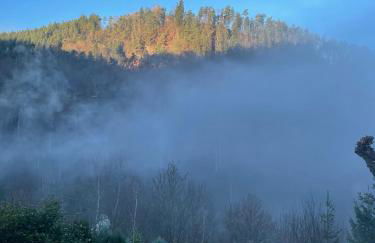 Dicker Stein - Foto 29