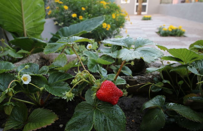 Povoa do Mar - Foto 44