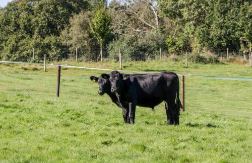 Breaches Barn - Foto 38