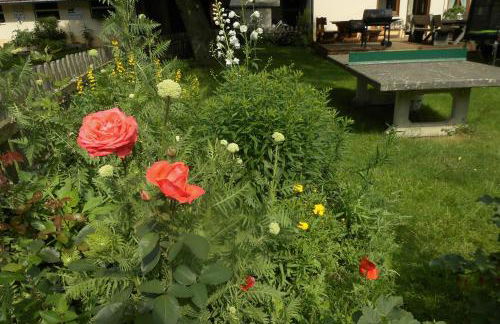 Urlaub auf dem Hänslehof - Foto 16