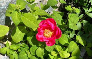 Casa Lo Tzé Relais - Indipendent house with amazing view - Foto 24