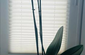 Apartament Azzurro - Old Town - Foto 10