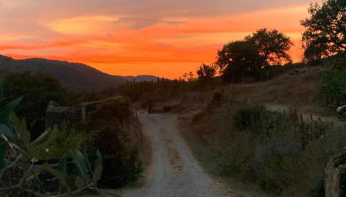 Agriturismo Podere Tegline - Foto 5