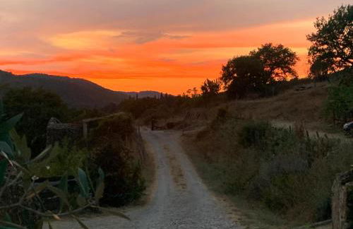 Agriturismo Podere Tegline - Foto 5