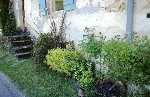 joli gîte plain pied - Foto 31