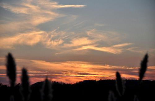 Beautifully Furnished Barn Getaway Located on a Sustainable Living Farm near Metropolis, Illinois - Photo 19