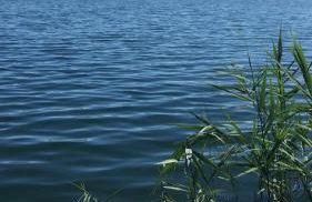 LELE-LAKE super domek Mazury - Photo 4