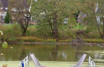 Bucks County Home Farm Philadelphia Dog Friendly - Foto 59