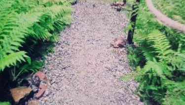 Abenteuerurlaub im Tannenwald - Photo 4