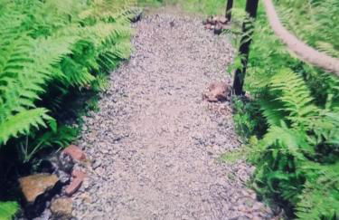 Abenteuerurlaub im Tannenwald - Photo 11