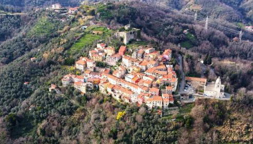 Trebiano a casa dei nonni - Foto 3