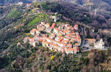 Trebiano a casa dei nonni - Foto 3