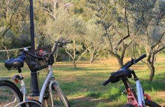 Can Pitu Ferriol - Foto 20