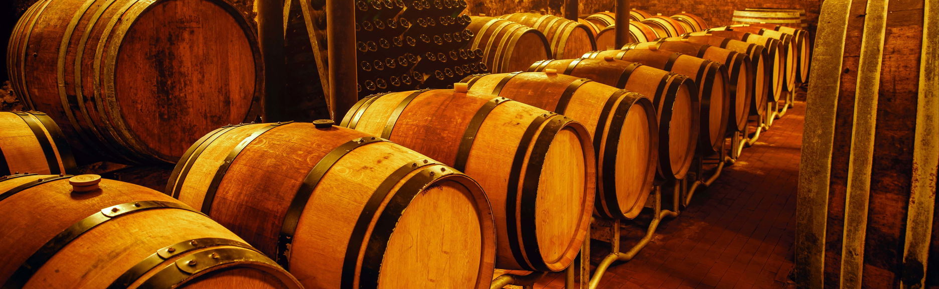 Aveiro Wine Tasting - Foto 1