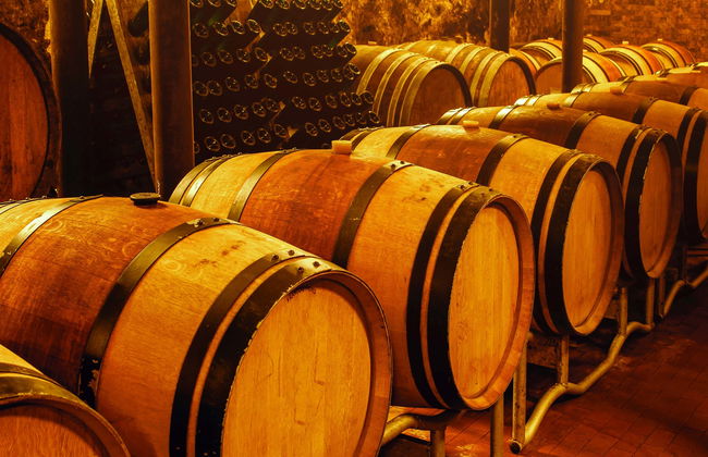 Cata de vinos en Aveiro - Foto 1