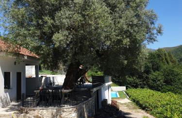 Quinta da Vinha Velha - Foto 19