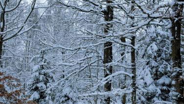 Ferienwohnung Lygri - Foto 2