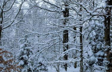 Ferienwohnung Lygri - Foto 2