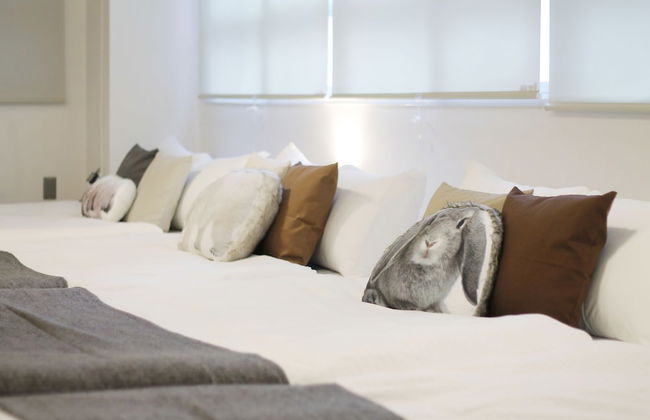 Nikke Building (401, 402) - Foto 10