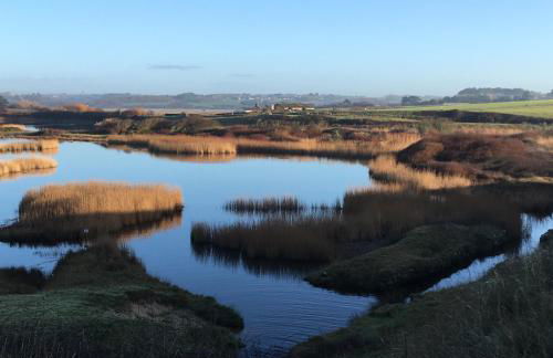 Esprit loft face à l'océan - Foto 15