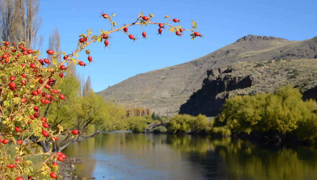 Villa Llanquin Private Trip - Foto 2