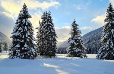 Appartement avec balcon au pied des pistes - Foto 7