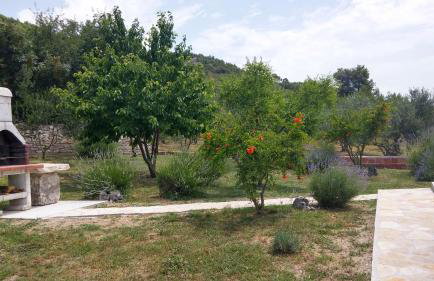 Apartmani Goga - Foto 42