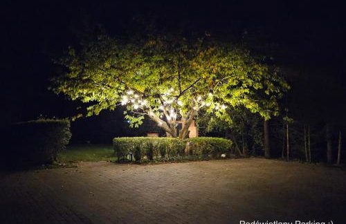 Domek całoroczny na Kaszubach - Żukowo - Photo 15