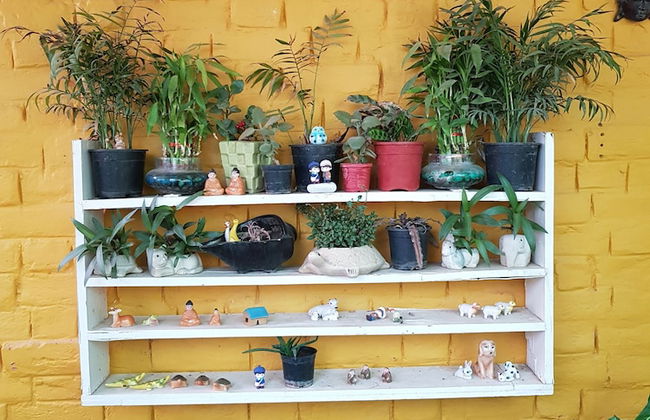 Koko's Farm - Foto 18