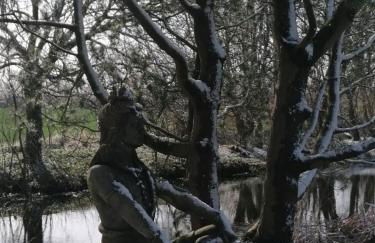 FW Achterdeck, 1 Obergeschoss, Petershof-Lehbek - Foto 21