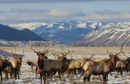 Newly Built - The Targhee at The Basin Luxury Suites - Foto 6