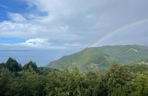 Stunning Ocean View Getaway- Private and Serene - Foto 21