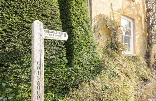 Alstroemeria - Photo 24