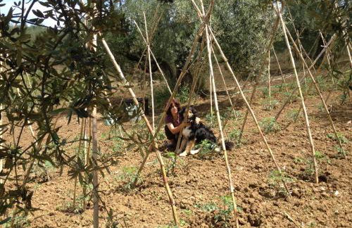 Agriturismo Via del Campo - Foto 87