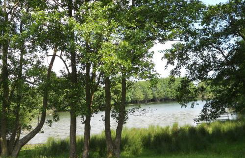 The Barn at Titley - Foto 20