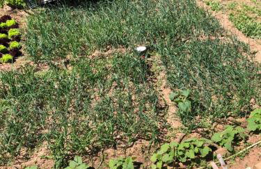 ARETI Sea View Mountain Cottage - Foto 39