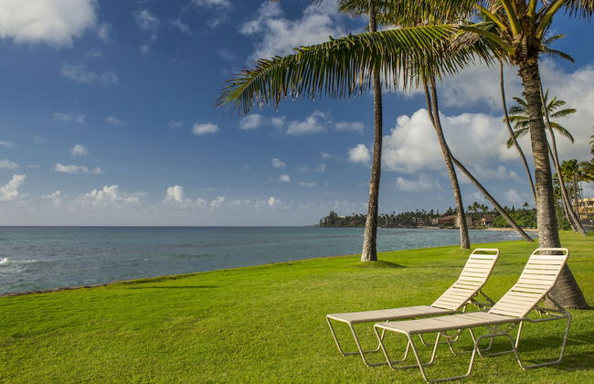 AEI at Papakea Resort Maui - Foto 23