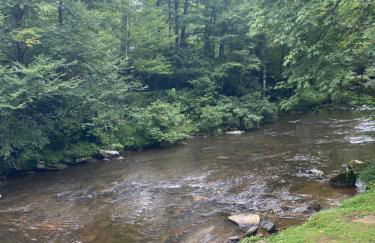 River Run Cottage Modern 2BR Waterfront Retreat in Linville Land Harbor - Foto 52