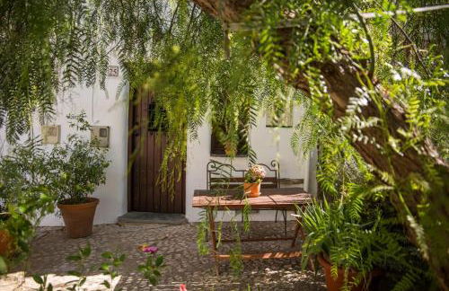 Casa con encanto en Alájar- El Bosque mágico de Alájar - Foto 42