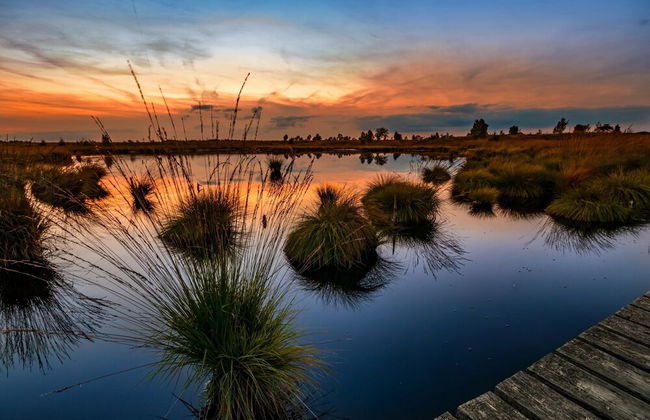 Spacious Stay With Terrace - Foto 25