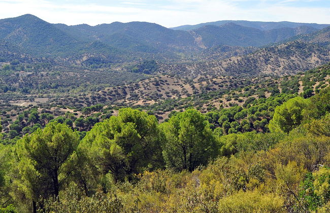Tour en 4x4 por la Sierra de Andújar - Foto 6