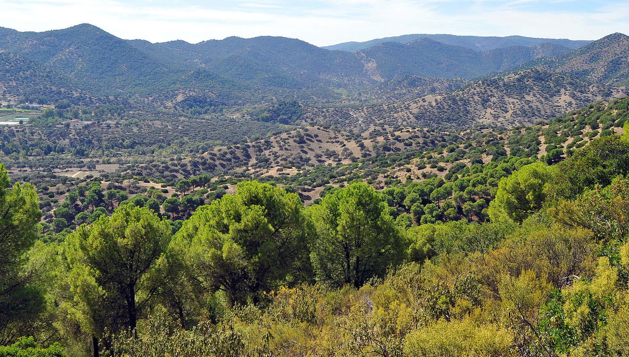 Tour en 4x4 por la Sierra de Andújar