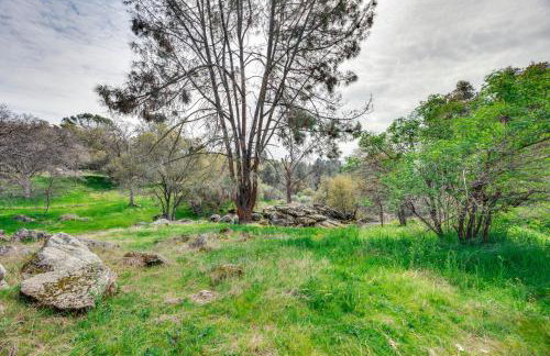 Luxury Auberry Retreat in Sierra National Forest - Foto 33