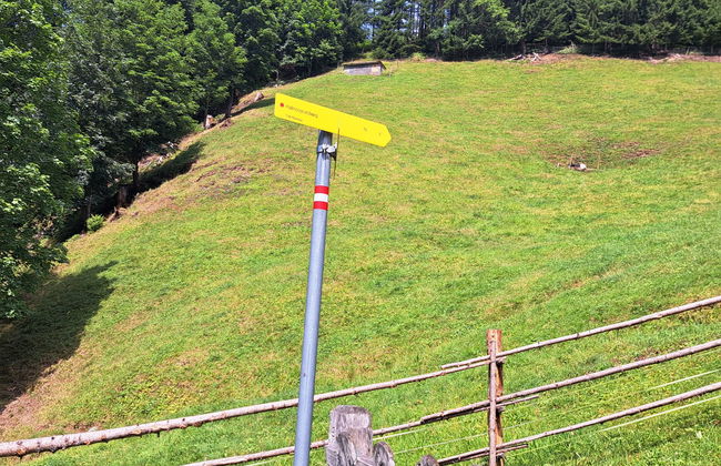 Bischofsmütze - Photo 20