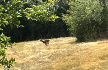 Maison Bourbonnaise idéalement placée proche du centre ville de Moulins - Foto 10