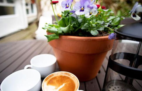 Brakestone Cottage in the heart of Port Isaac - Foto 27
