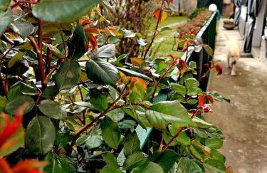 Casa di Bimba - Foto 21