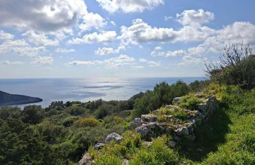 APARTMENT Sonia - Photo 22