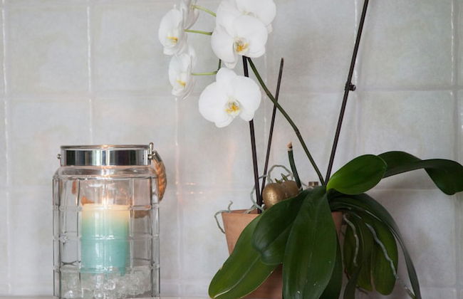 Immas Welt - Foto 36